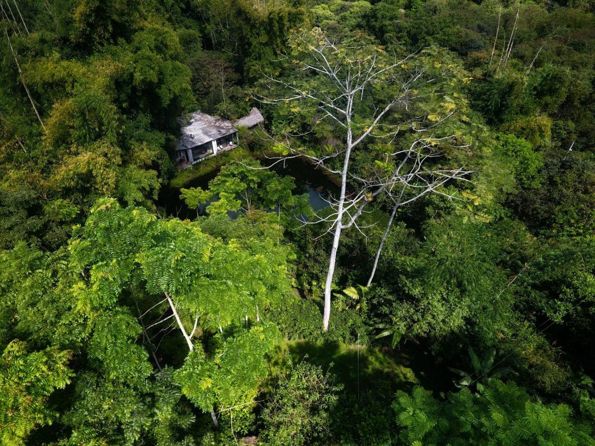 Cantalarana Lodge Mindo Exterior foto